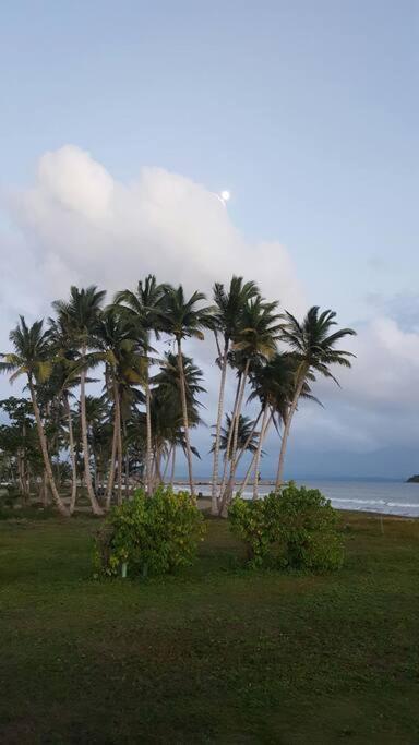 Punta Santiago Free Wifi 1St Floor Apartment מראה חיצוני תמונה